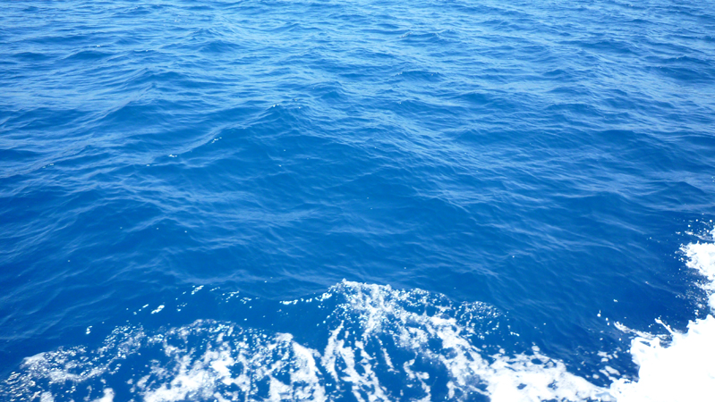 12 Island Boat Trip (9)